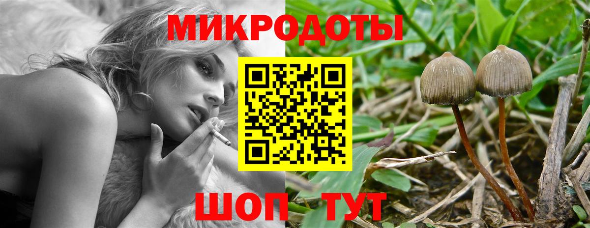 Партизанск  Псилоцибиновые грибы Magic Shrooms  Вход с VPN 